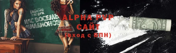 ГАЛЛЮЦИНОГЕННЫЕ ГРИБЫ Новозыбков