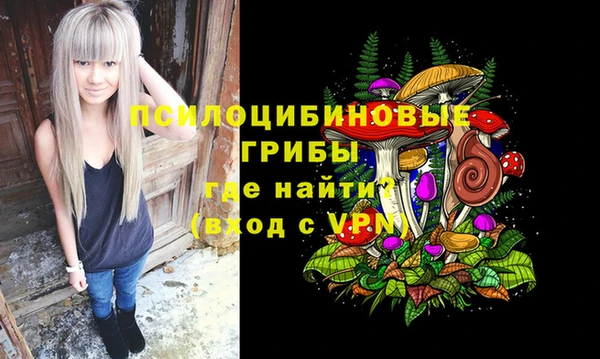 ГАЛЛЮЦИНОГЕННЫЕ ГРИБЫ Новозыбков
