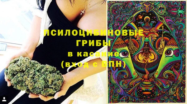 мдпв Нея