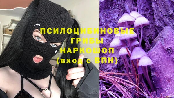 спайс Новодвинск