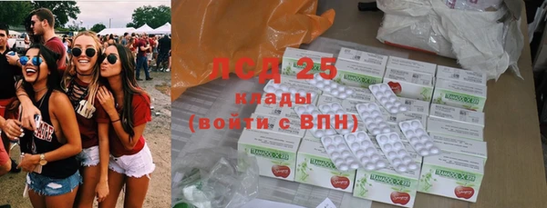 спайс Новодвинск