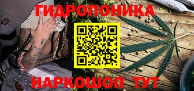 стаф Донецк