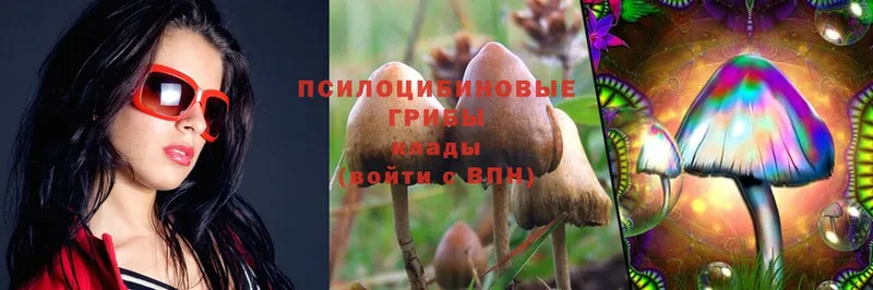 Псилоцибиновые грибы Magic Shrooms  Химки 